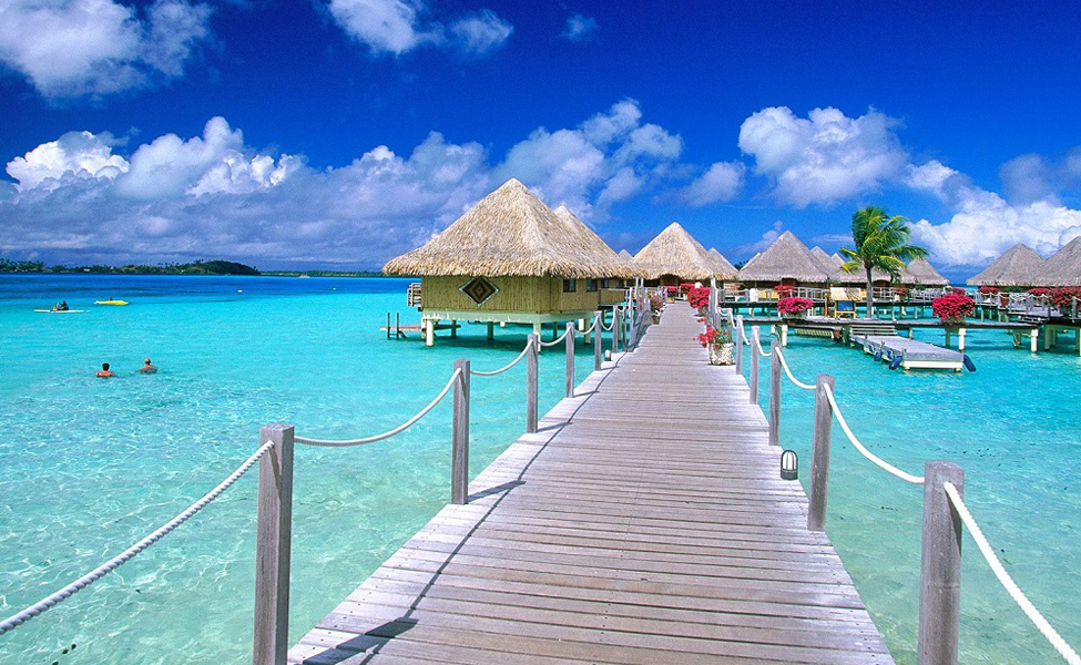 banner-image
