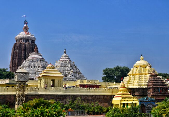 vector